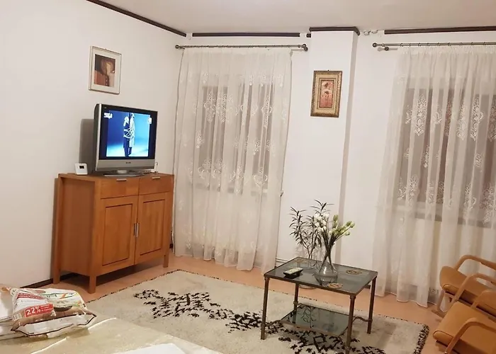 公寓 Garsoniera Utilata George Enescu