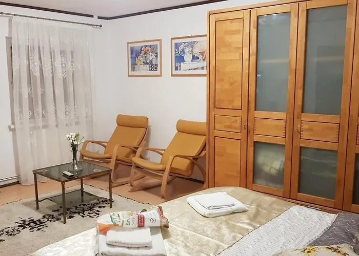 Garsoniera Utilata George Enescu Διαμέρισμα