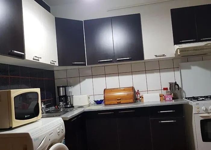 公寓 Garsoniera Utilata George Enescu